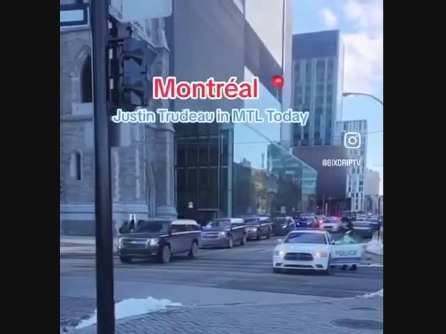 Кортеж Трюдо