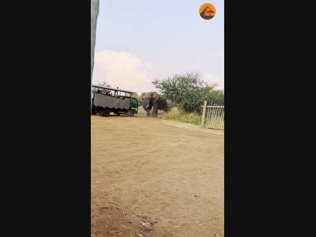 Африканский эвакуатор