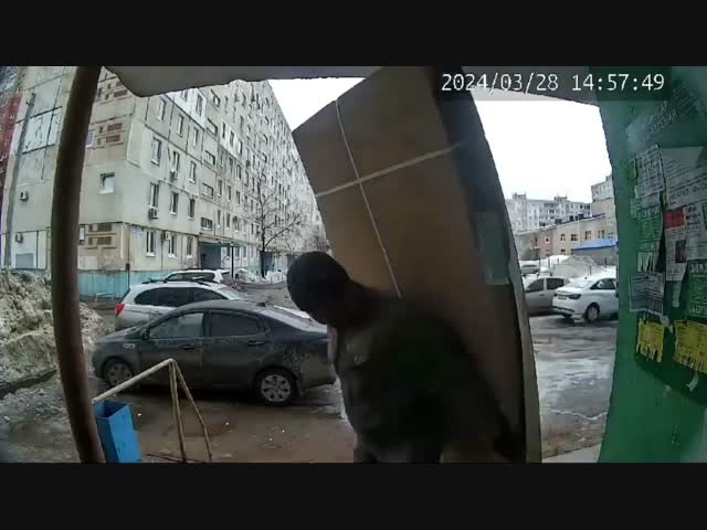 Курьер сломал дом