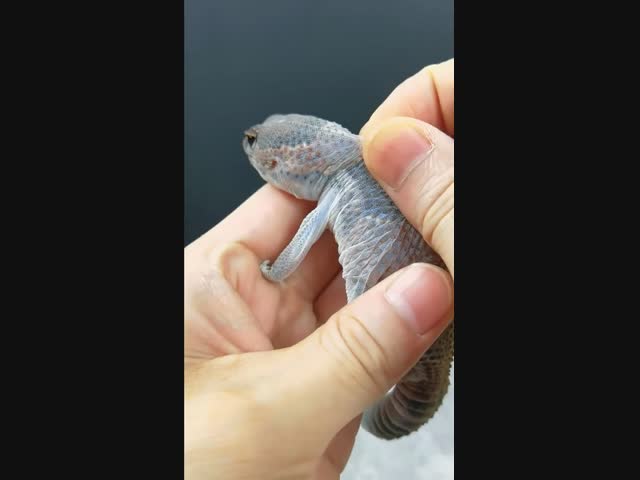 Распаковка