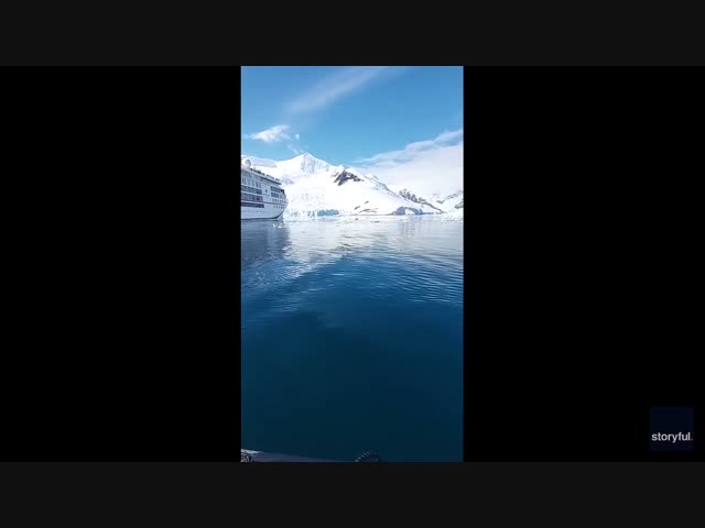 Финвал проплыл под лодкой с туристами в Антарктиде