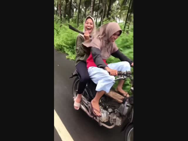 Разогналась так, что взлетела