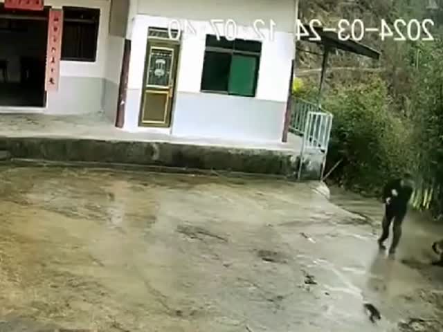 А у вас как день начался?