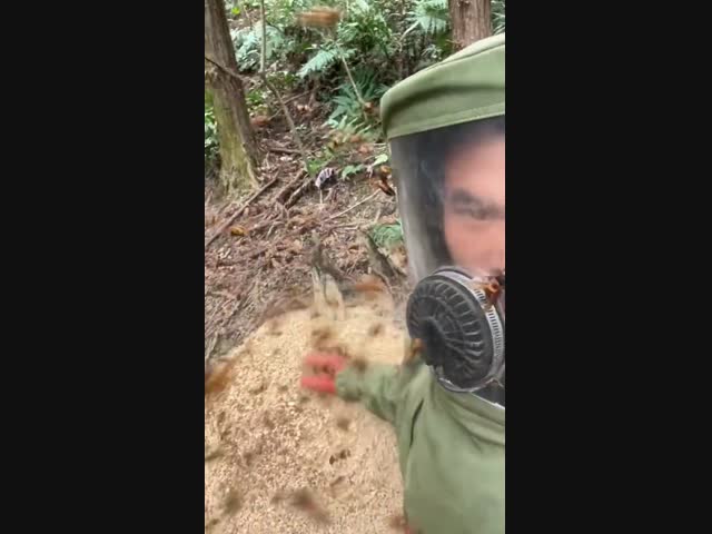 Какой-то ужастик!