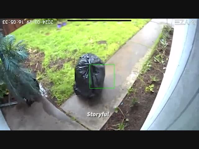 Гениальный воришка