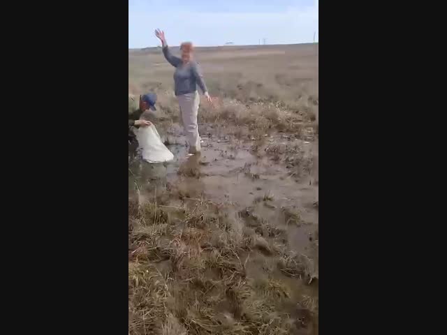 После подтопления в Оренбургской области люди собирают рыбу руками