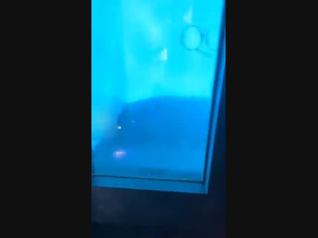 Бассейн с паром