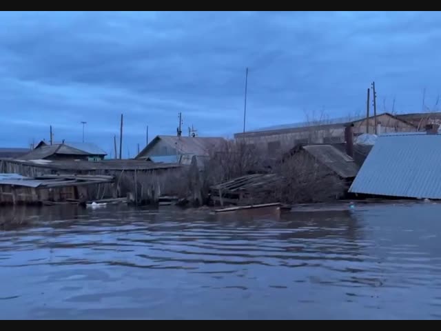 Курганская область сейчас