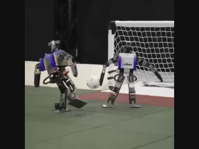 Это только начало