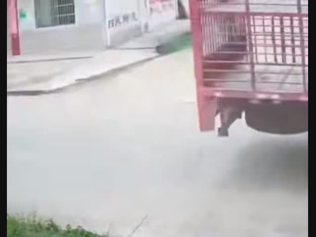 Мотоциклетный шлем придумали не зря