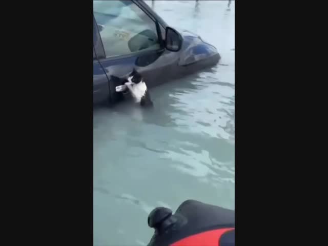 Правильные мужики