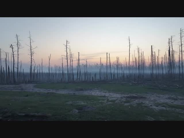 Зона боевых действий где-то на Украине