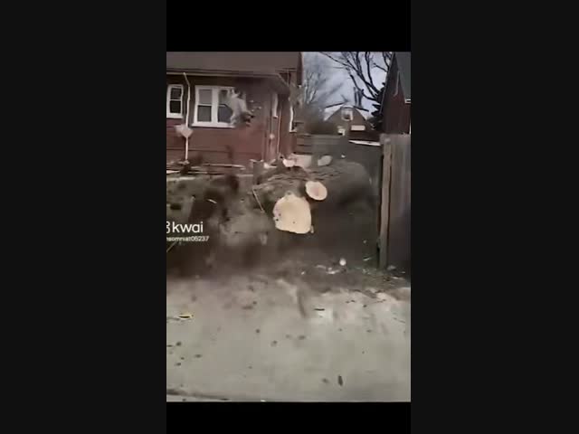 История енота Педро