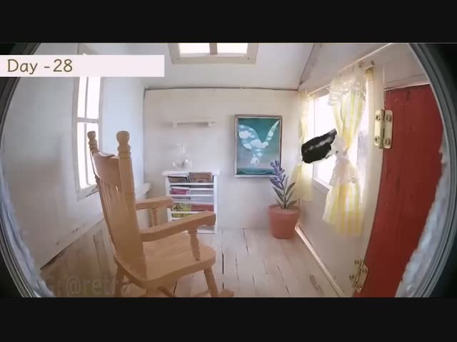 Птички сделали уютный ремонт в скворечнике