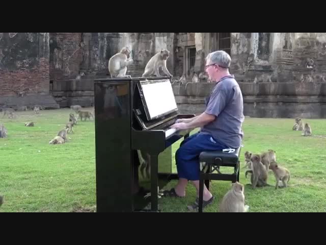 Музыкант и его поклонники