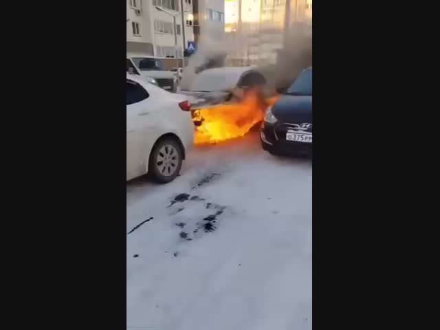 Хорошие соседи