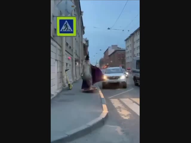 Питерский чародей