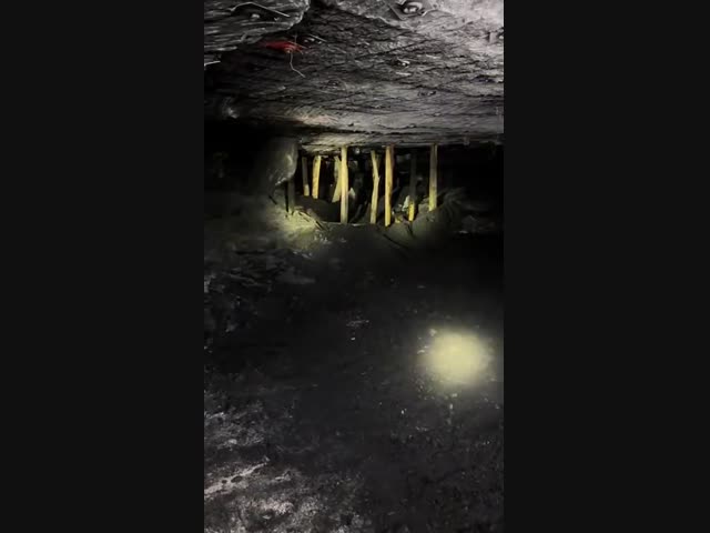 Вы никогда не задумывались, почему горняки раньше использовали деревянные столбы в шахтах? 