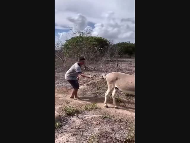 -Слушай, надоел уже!