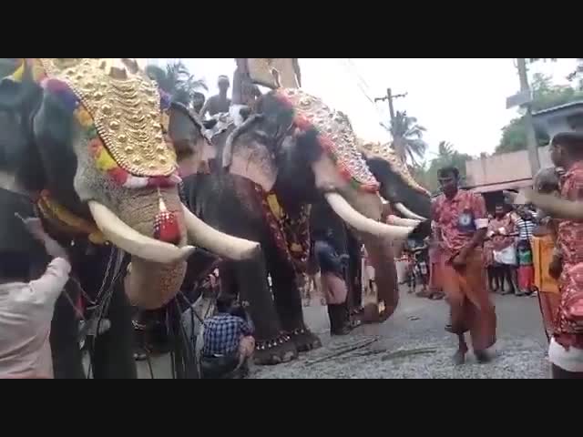 -Пойдем поговорим, братан!