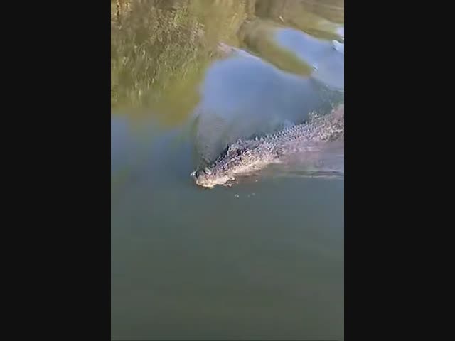 Вот зе фак мэн, вот зе фак!