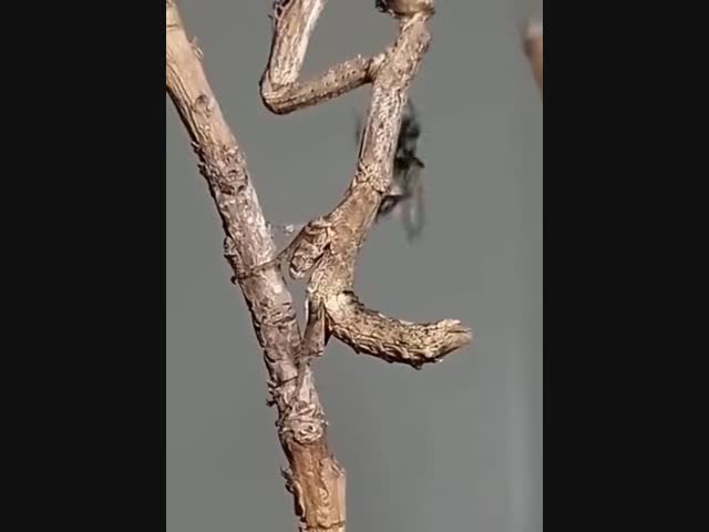 Обеденный перерыв