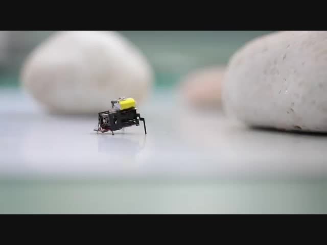 Робот-таракан