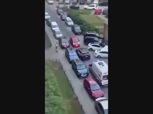 Женщина за рулём 