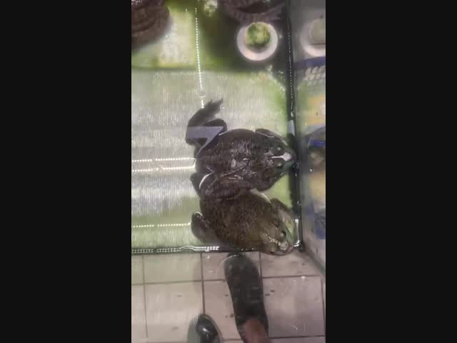 Обычный продуктовый магазин в Китае:))))