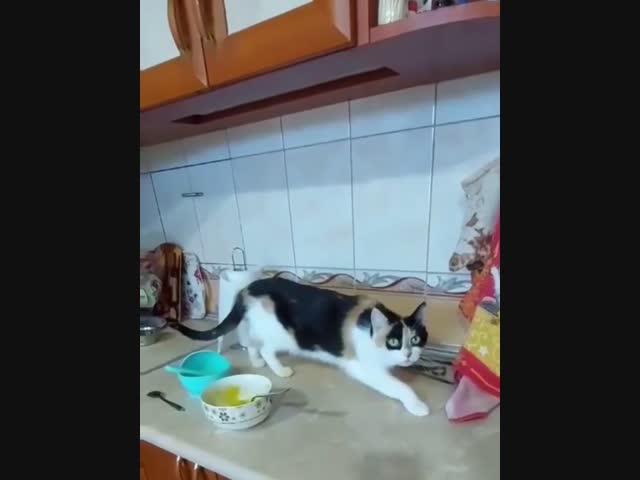 Если замереть, то становишься невидимым, но это не точно