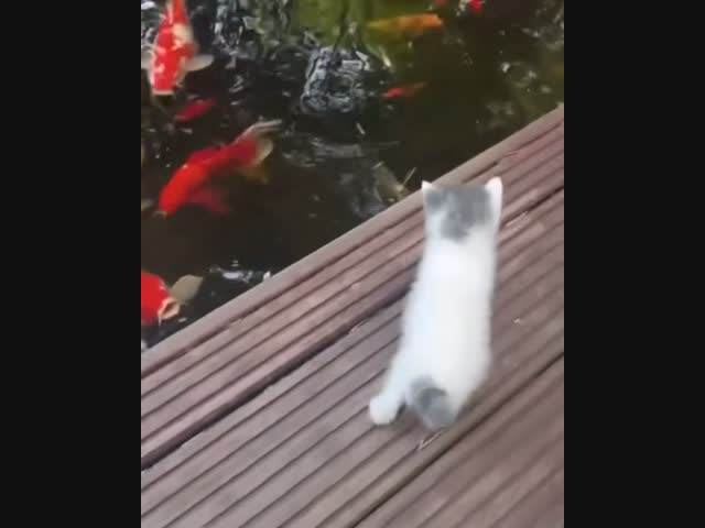 Мама всегда поможет!