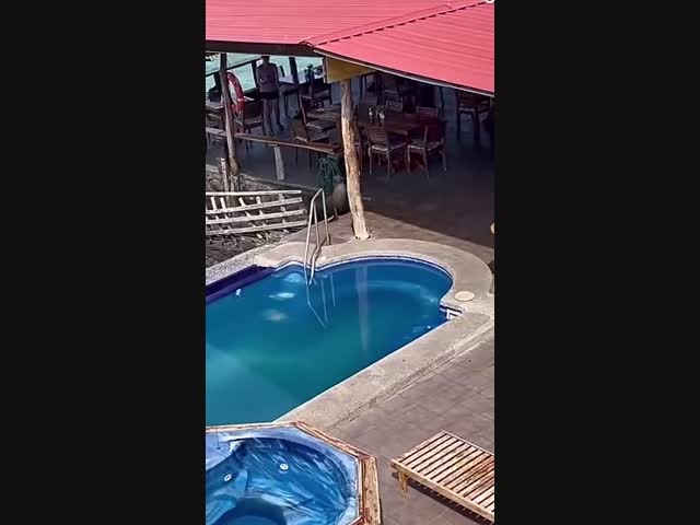 - Ты что здесь разлегся? Вали отсюда!