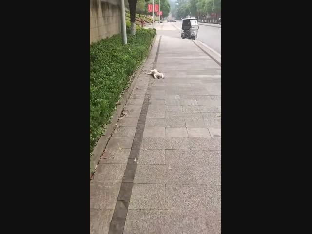 Очень крепкий сон