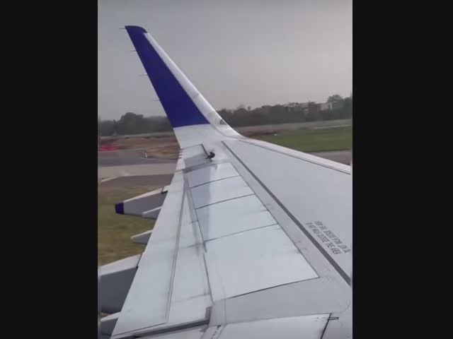 Безбилетные пассажиры