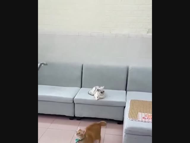 Достойное изобретение