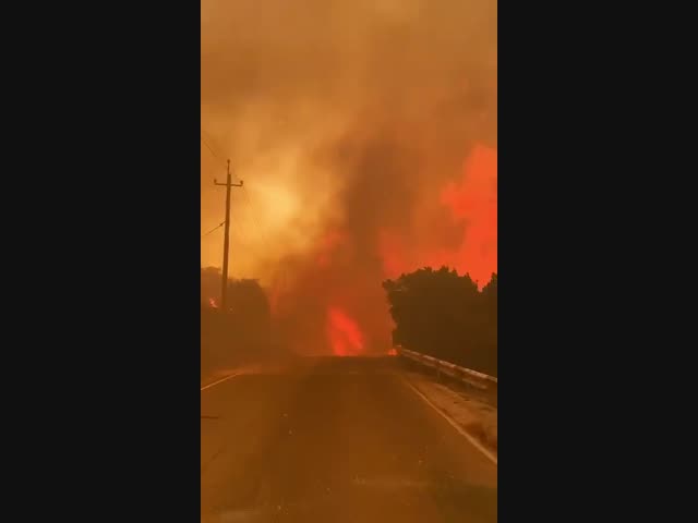 Лесной пожар в Краснодарском крае