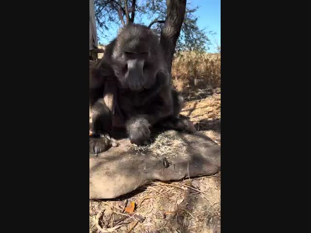 -Иди своей дорогой!