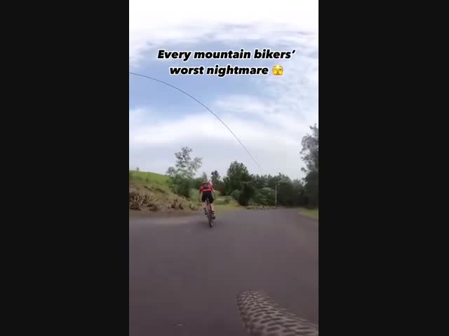 Кто-то натянул тросик поперек тропинки