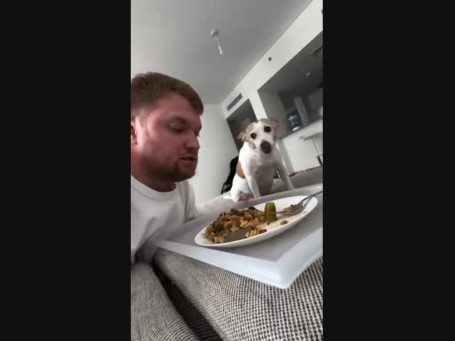 Мужское воспитание