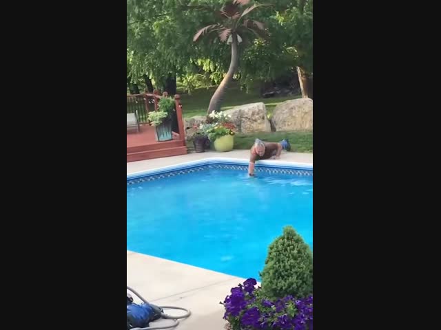 Спасенный оленёнок стал другом семьи