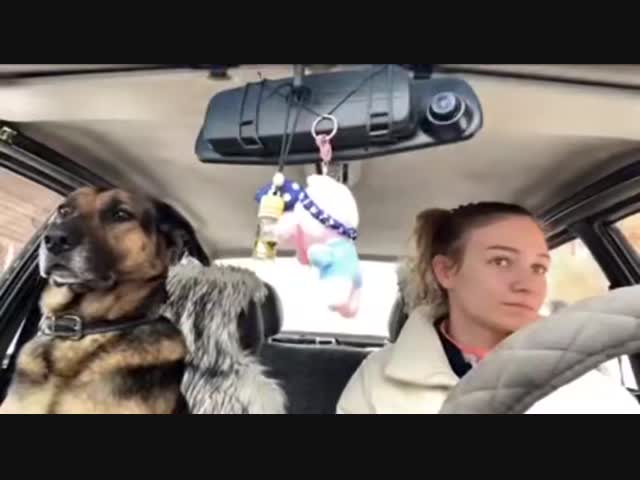 -Пристегнись!