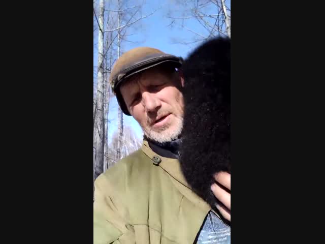 Обычная прогулка в лесу