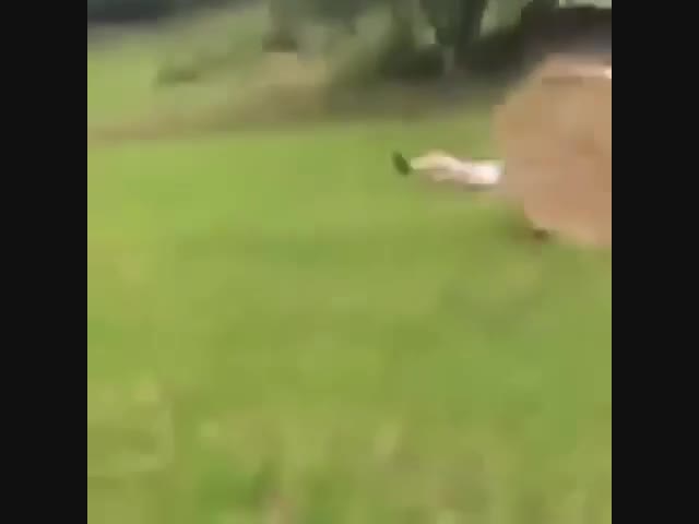 Низкий прыжок