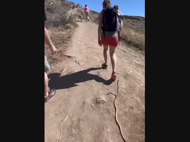 Удачная шутка