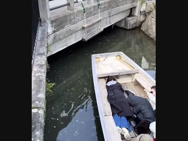 А вдруг не успеет запрыгнуть?