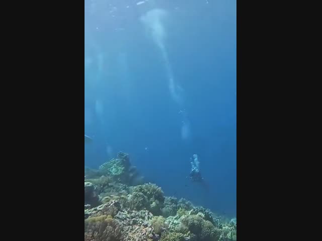 Как выглядит подводное землетрясение