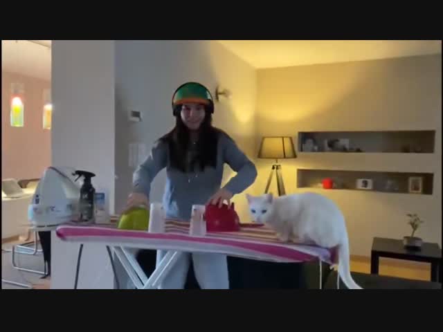 Пугливая кошка