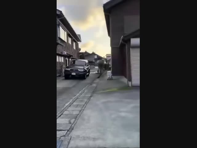 Землетрясение в Японии