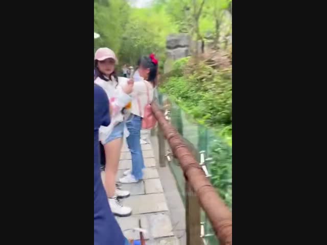 Если пандам и грозит вымирание, то по этим причинам