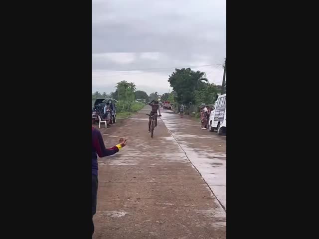 Велосипедист пощадил котейку